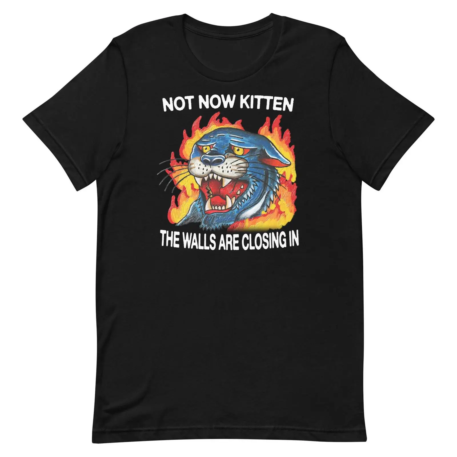 Not Now Kitten tişört vintage  - Vintage Fashion Now incelemesi ve fiyatı